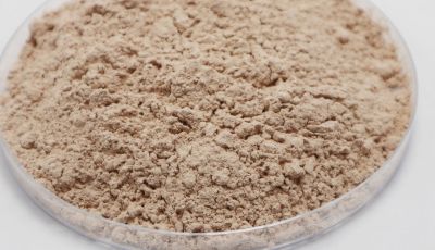 食品级硅藻土成分-食品级矿源来自吉林长白山-[森大硅藻土]