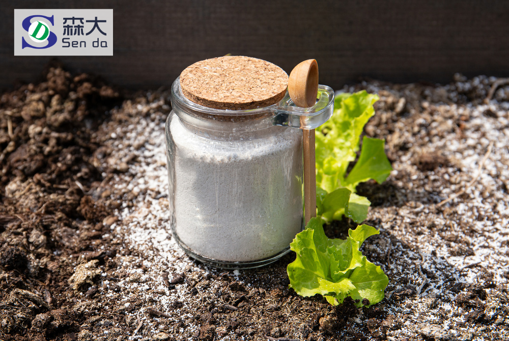 探秘硅藻土吸附魔法，森大硅藻土引领环保新潮流