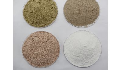 饲料业中使用硅藻土的需求及其条件