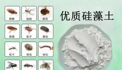 硅藻土在农药杀虫剂效果 森大19年高品质源头厂家